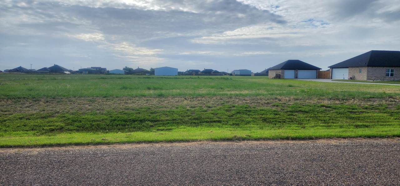 5351 Buffalo Springs Trail - Photo 1