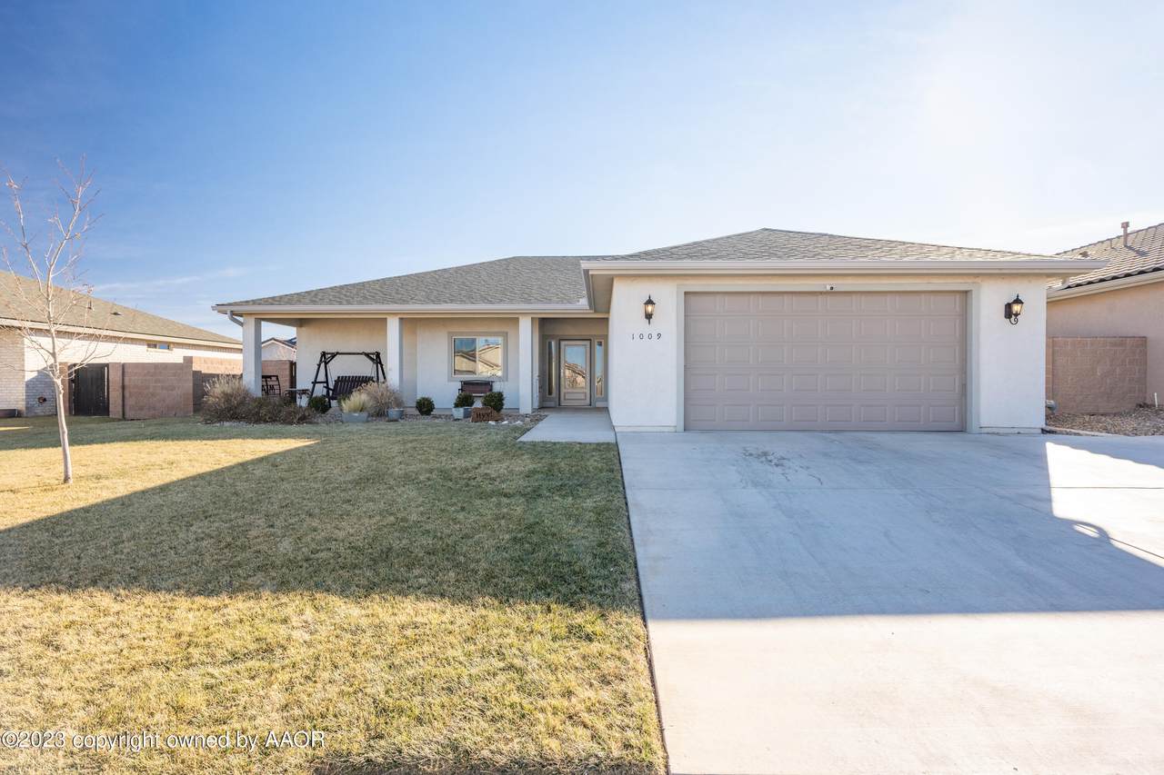 1009 Syrah Blvd - Photo 1