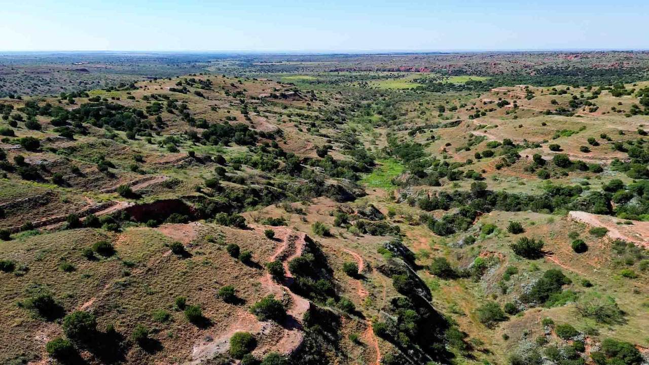  Reeves Ranch - Photo 1