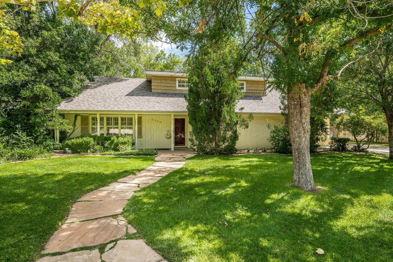 2309 Harmony Street - Photo 1