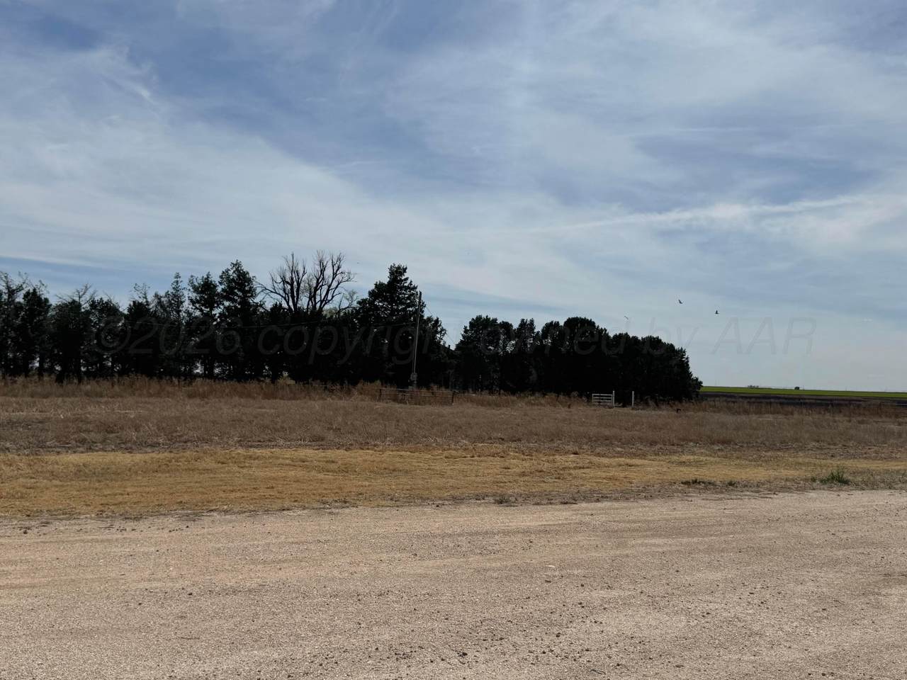 https://bt-photos.global.ssl.fastly.net/amarillo/1280_boomver_2_26-3257-2.jpg