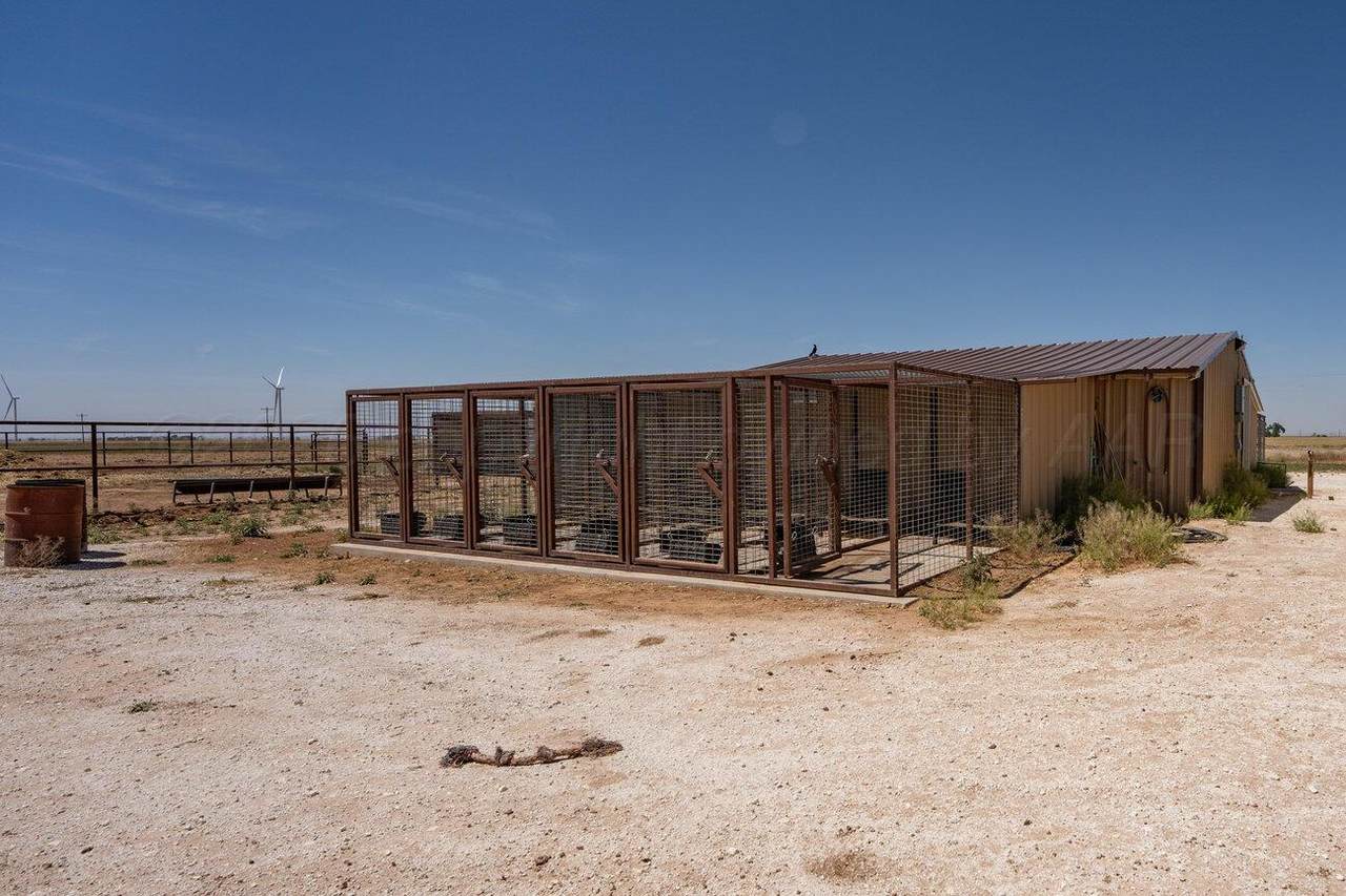 https://bt-photos.global.ssl.fastly.net/amarillo/1280_boomver_2_26-4212-2.jpg
