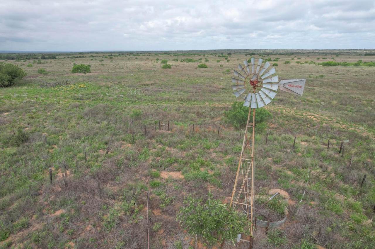  237.5 Acres Cottle County - Photo 1
