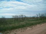 0 Gold Rd (X2 40 Acre Tracts) - Photo 1