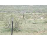 0 Gold Rd (X2 40 Acre Tracts) - Photo 11