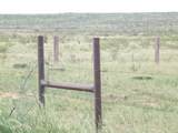 0 Gold Rd (X2 40 Acre Tracts) - Photo 12