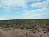 0 Gold Rd (X2 40 Acre Tracts) - Photo 14