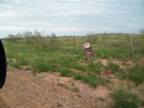 0 Gold Rd (X2 40 Acre Tracts) - Photo 15