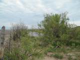 0 Gold Rd (X2 40 Acre Tracts) - Photo 16