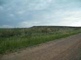 0 Gold Rd (X2 40 Acre Tracts) - Photo 23