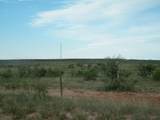 0 Gold Rd (X2 40 Acre Tracts) - Photo 4