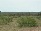 0 Gold Rd (X2 40 Acre Tracts) - Photo 5