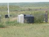 0 Gold Rd (X2 40 Acre Tracts) - Photo 8