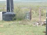 0 Gold Rd (X2 40 Acre Tracts) - Photo 9