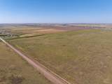  Hale Road Acres - Photo 13