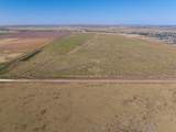  Hale Road Acres - Photo 14
