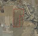  Hale Road Acres - Photo 23