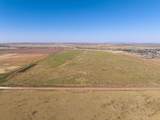  Hale Road Acres - Photo 4