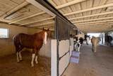 21401 Hope Road - Photo 102