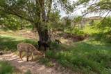 21401 Hope Road - Photo 114