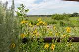 21401 Hope Road - Photo 80