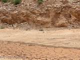  Cemetery Rd Caliche Pit - Photo 43