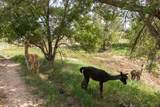 21401 Hope Road - Photo 99