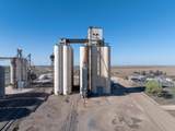  Kress Co-Op - Photo 12
