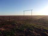 38801 Goathead Road Road - Photo 23