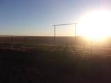 38801 Goathead Road Road - Photo 24