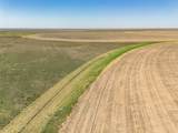  Vincent Farms - Photo 104