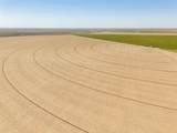  Vincent Farms - Photo 107