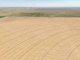  Vincent Farms - Photo 111