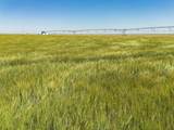  Vincent Farms - Photo 113