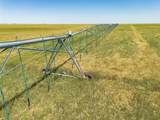  Vincent Farms - Photo 115