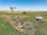  Vincent Farms - Photo 119