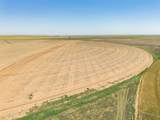 Vincent Farms - Photo 122