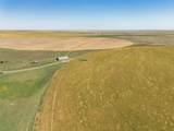  Vincent Farms - Photo 127