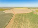  Vincent Farms - Photo 90