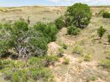  Legacy Ranch Undeveloped - Photo 37