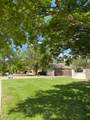 204 Carson Avenue - Photo 7