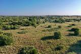 480 Acres County Road 19 - Photo 12