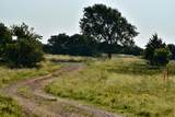 480 Acres County Road 19 - Photo 13