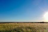 480 Acres County Road 19 - Photo 27
