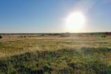 480 Acres County Road 19 - Photo 28