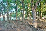 480 Acres County Road 19 - Photo 30