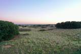 480 Acres County Road 19 - Photo 39