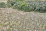 480 Acres County Road 19 - Photo 40