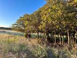 480 Acres County Road 19 - Photo 57