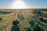 480 Acres County Road 19 - Photo 7